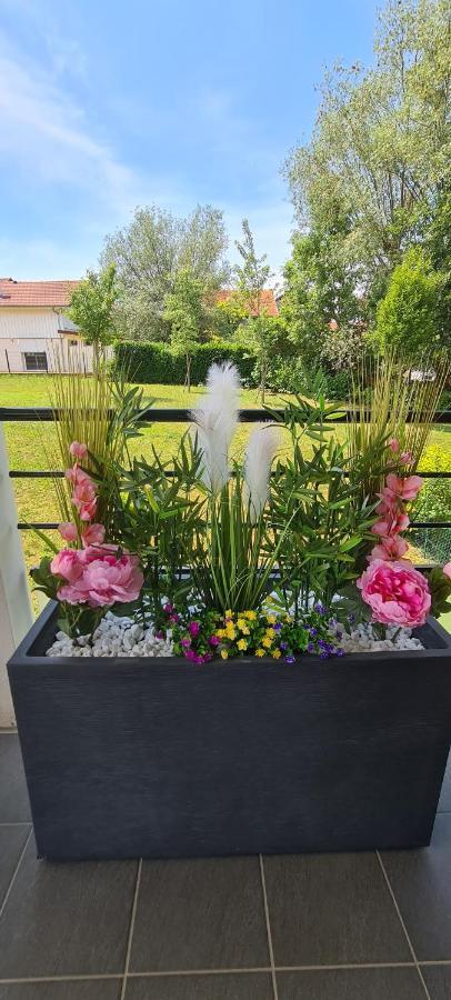 Le Cocon Du Leman Apartment Viry  Ngoại thất bức ảnh
