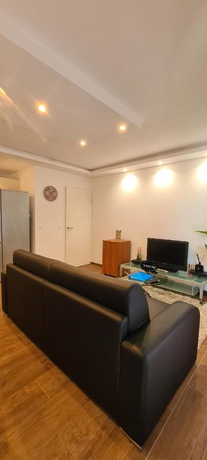 Le Cocon Du Leman Apartment Viry  Ngoại thất bức ảnh