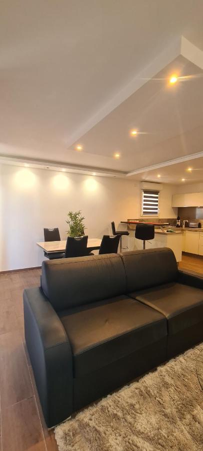 Le Cocon Du Leman Apartment Viry  Ngoại thất bức ảnh