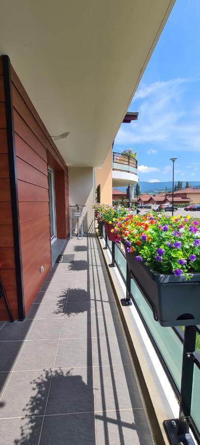 Le Cocon Du Leman Apartment Viry  Ngoại thất bức ảnh