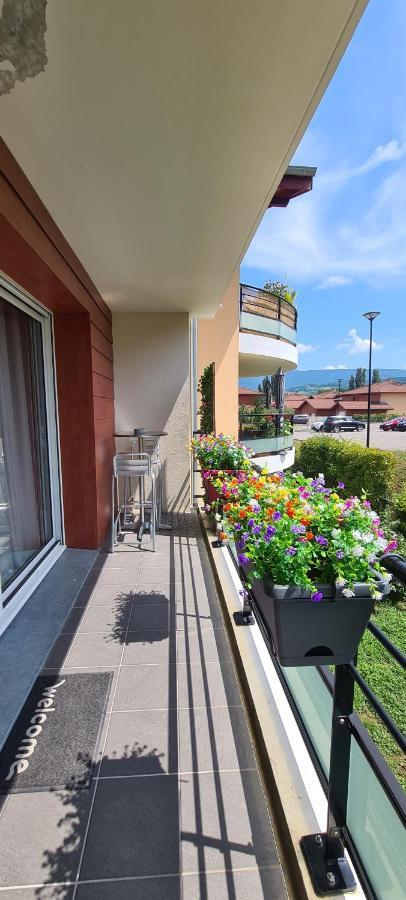Le Cocon Du Leman Apartment Viry  Ngoại thất bức ảnh